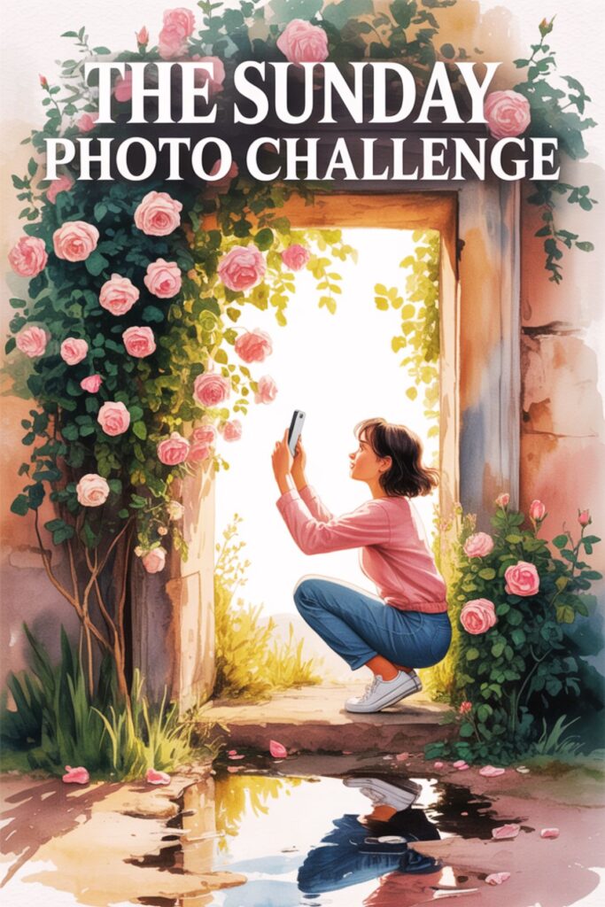 cute photo challenge